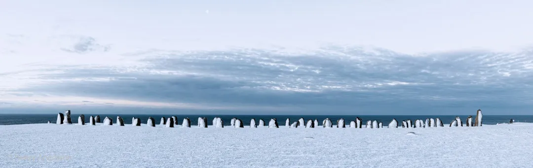 Ales Stenar med snötäcke (canvas)