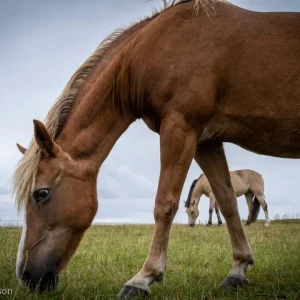 3591-774 SE Kaseberga