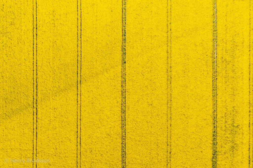 3608-312-SE-Peppinge