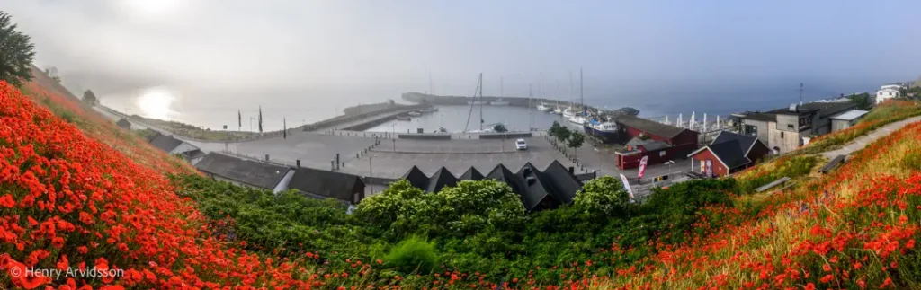 Vallmo i Kåseberga hamn (canvas) 3659-798 SE Kåseberga 190x60 cm